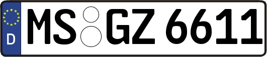 MS-GZ6611