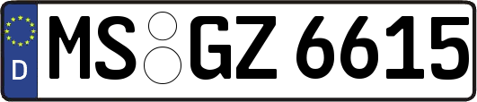 MS-GZ6615