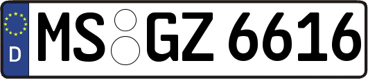 MS-GZ6616