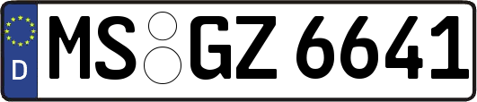 MS-GZ6641