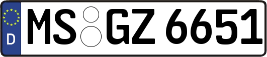 MS-GZ6651