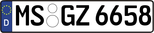 MS-GZ6658