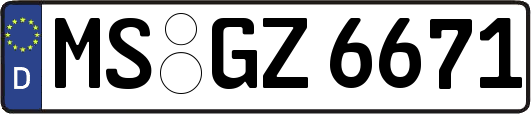 MS-GZ6671