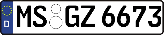 MS-GZ6673
