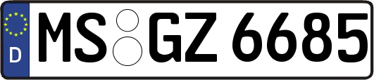 MS-GZ6685