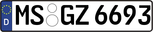 MS-GZ6693