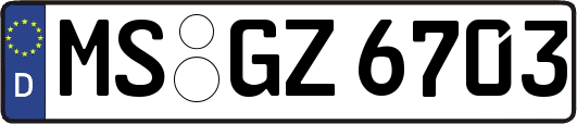 MS-GZ6703