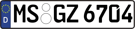 MS-GZ6704
