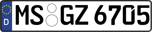 MS-GZ6705