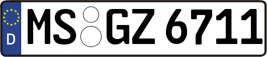 MS-GZ6711