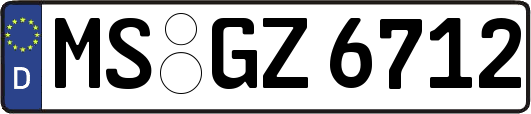 MS-GZ6712