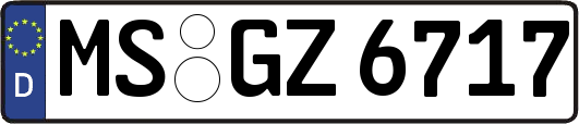 MS-GZ6717
