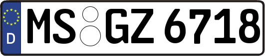 MS-GZ6718
