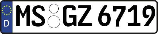 MS-GZ6719