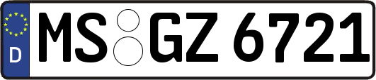 MS-GZ6721