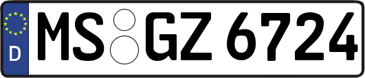 MS-GZ6724