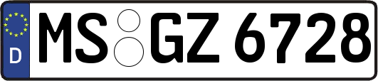 MS-GZ6728
