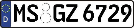 MS-GZ6729
