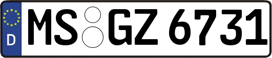 MS-GZ6731