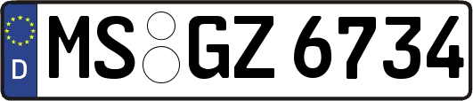 MS-GZ6734
