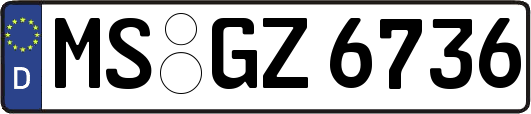 MS-GZ6736