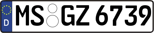 MS-GZ6739