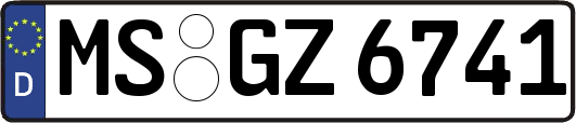 MS-GZ6741