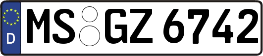 MS-GZ6742
