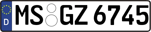 MS-GZ6745