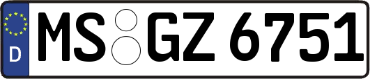 MS-GZ6751