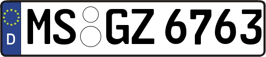 MS-GZ6763