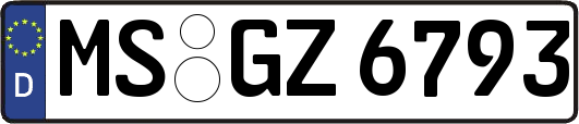 MS-GZ6793