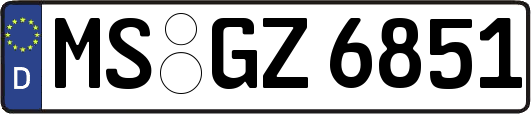 MS-GZ6851