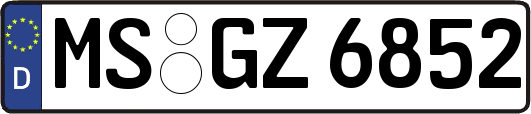 MS-GZ6852