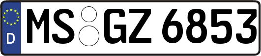 MS-GZ6853