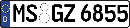 MS-GZ6855