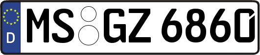 MS-GZ6860