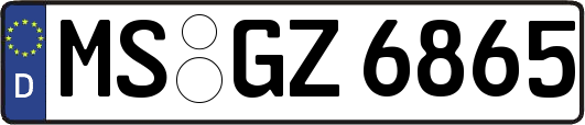 MS-GZ6865