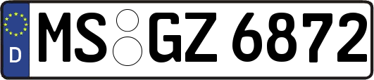 MS-GZ6872