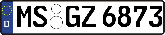 MS-GZ6873