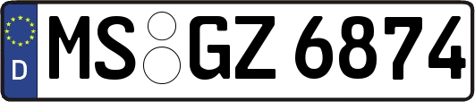 MS-GZ6874