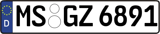 MS-GZ6891