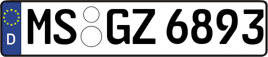 MS-GZ6893