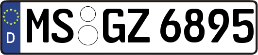 MS-GZ6895