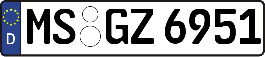 MS-GZ6951