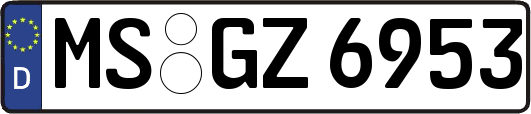 MS-GZ6953