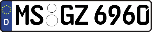 MS-GZ6960