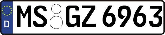 MS-GZ6963