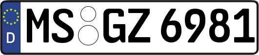 MS-GZ6981