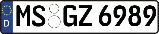 MS-GZ6989
